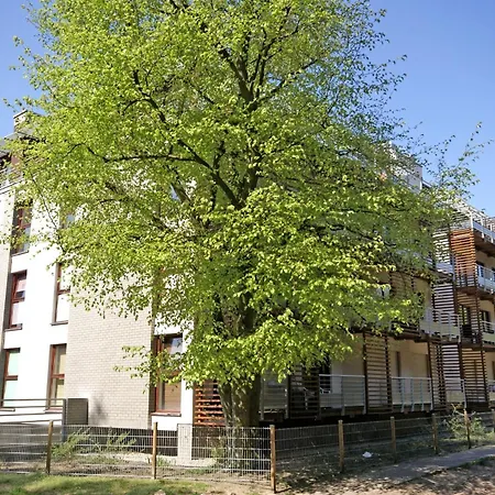 - Zacisze Lesne Svinoústí