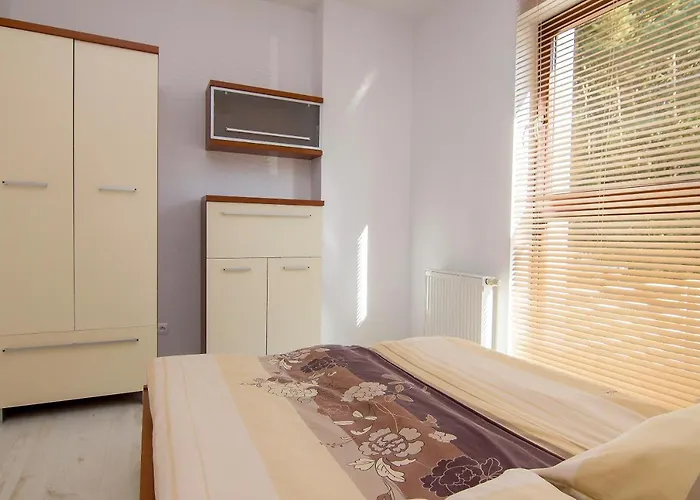 - Zacisze Lesne Apartamento *